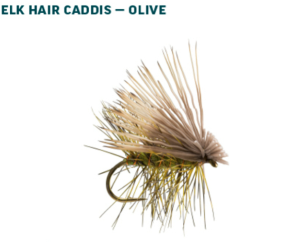 RIO Dry Fly Assortment Caddis Olive